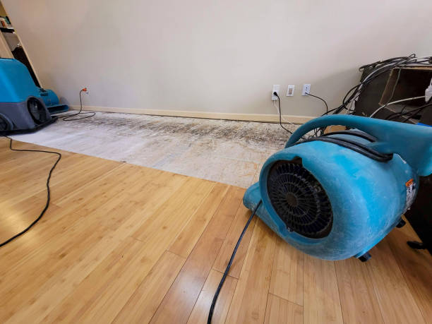 Professional Water Extraction technician working in Oceanport, NJ